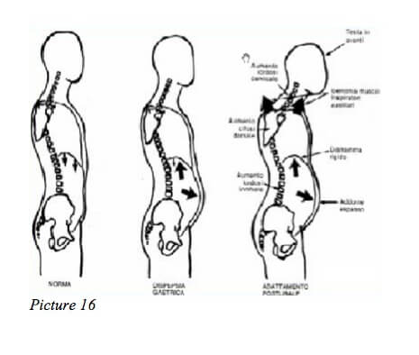 posture body