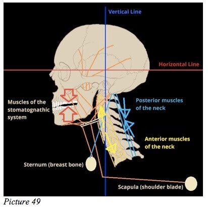 jaw starecta mechanism